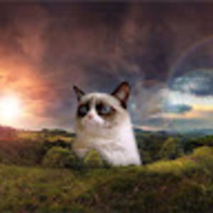 Meet your Posher, Alika